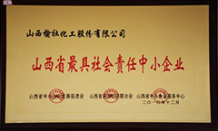 2010年山西省最具社會(huì)責(zé)任中小企業(yè)